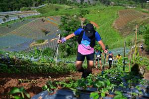 BIB: 
                            <button type="button" onclick="openModal(13381755)" class="btn btn-primary btn-sm float-right btn-popup" data-toggle="modal" data-target=".modal-high-quality">
                        <i class="fas fa-shopping-cart"></i> Add to Cart
                    </button>
                                            <button type="button" onclick="isThisMe(13381755, true)" class="btn btn-success btn-sm float-right btn-popup btn-isme hidden" data-toggle="tooltip" data-placement="bottom" title="นี่คือรูปของคุณใช่ไหม คลิกที่นี่เพื่อเอาเข้าอัลบั้ม">
                        <i class="fas fa-plus"></i> Add to album
                    </button>
                    <button type="button" onclick="isThisMe(13381755, false)" class="btn btn-warning btn-sm float-right btn-popup btn-isnotme hidden">
                        <i class="fas fa-ban"></i> Remove from album
                    </button>